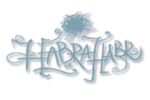Habrahabr_logo
